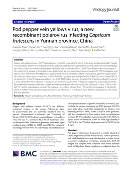 Pod Pepper Vein Yellows Virus, a New Recombinant Polerovirus Infecting