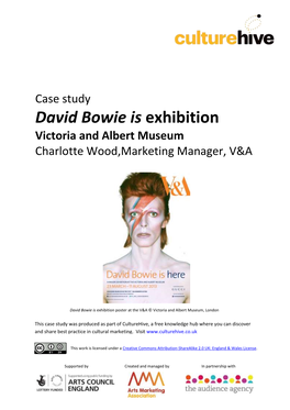 David Bowie Is Exhibition at the V&A