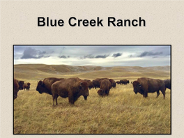 Sandhills Ranch Properties