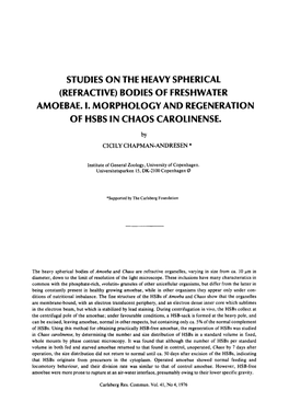 Studies on the Heavy Spherical (Refractive) Bodies of Freshwater Amoebae. I. Morphology and Regeneration of Hsbs in Chaos Carolinense