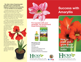 Amaryllis Handout.Indd