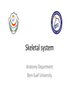 Skeletal System