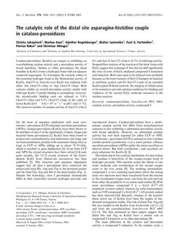 The Catalytic Role of the Distal Site Asparagine-Histidine Couple in Catalase-Peroxidases