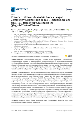 Characterization of Anaerobic Rumen Fungal Community Composition in Yak, Tibetan Sheep and Small Tail Han Sheep Grazing on the Qinghai-Tibetan Plateau