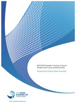 GPS/TDR Satellite Tracking of Sperm Whales with 3-Axis Accelerometers