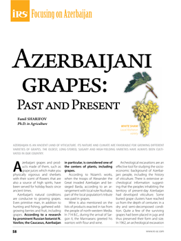 Azerbaijani Grapes: Past and Present Famil Sharifov Ph.D