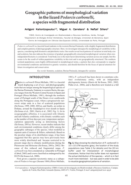 Geographic Patterns of Morphological Variation in the Lizard Podarcis Carbonelli, a Species with Fragmented Distribution