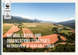 Natural Capital and Organizations Strategies