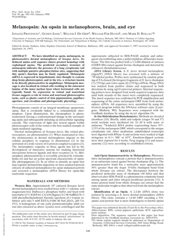 Melanopsin: an Opsin in Melanophores, Brain, and Eye