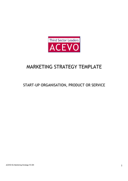 Marketing Strategy Template