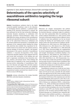 Determinants of the Species Selectivity of Oxazolidinone Antibiotics Targeting the Large Ribosomal Subunit