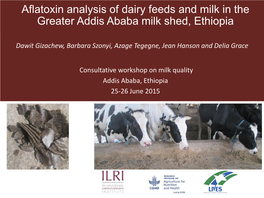 Aflatoxin Analysis of Dairy Feeds and Milk in the Greater Addis Ababa Milk Shed, Ethiopia