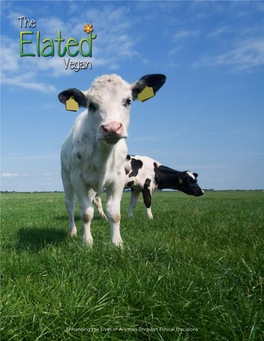 Elated.Co.Za Ebook