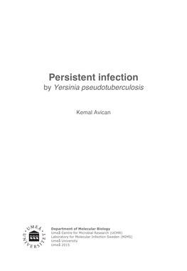 Persistent Infection by Yersinia Pseudotuberculosis