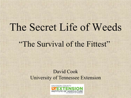 The Secret Life of Weeds “The Survival of the Fittest”