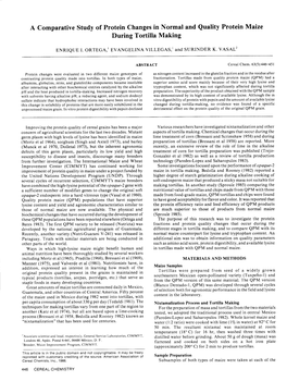 A Comparative Study of Protein Changes in Normal and Quality Protein Maize During Tortilla Making