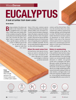 Woodsense EUCALYPTUS a Look at Lumber from Down Under