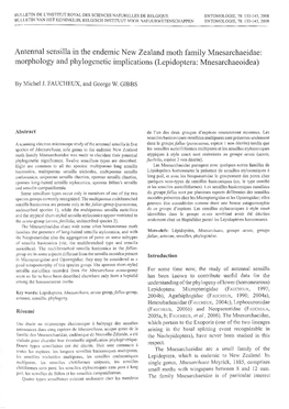 Morphology and Phylogenetic Implications (Lepidoptera: Mnesarchaeoidea)