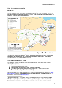 River Avon Catchment Profile