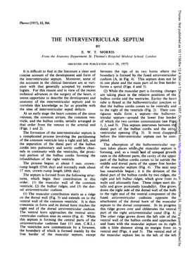 The Interventricular Septum by E