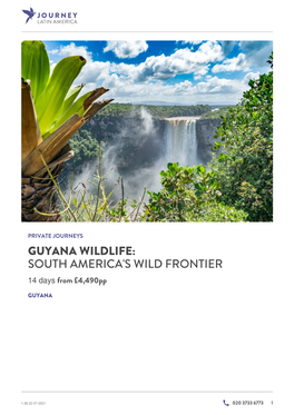 Guyana Wildlife