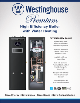 High Efficiency Boiler with Water Heating