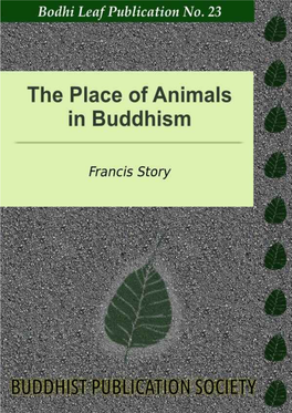 The Place of Animals in Buddhism
