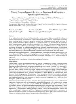 Natural Entomophages of Brevicoryne Brassicae (L.) (Hemiptera: Aphididae) in Uzbekistan