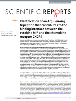 Identification of an Arg-Leu-Arg Tripeptide That Contributes to The