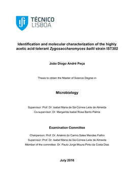 Identification and Molecular Characterization of the Highly Acetic Acid Tolerant Zygosaccharomyces Bailii Strain IST302