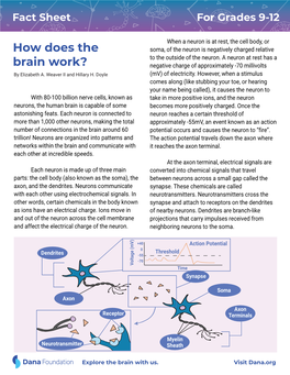 How Does the Brain Work? Grades 9-12