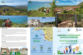 Brochure Oasi Naturalistica Trentova Tresino