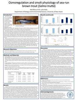 Osmoregulation and Smolt Physiology of Sea‐Run Brown Trout (Salmo Trutta) Kelli Mosca & Dr