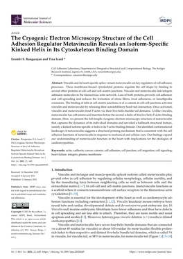 The Cryogenic Electron Microscopy Structure of the Cell Adhesion Regulator Metavinculin Reveals an Isoform-Speciﬁc Kinked Helix in Its Cytoskeleton Binding Domain