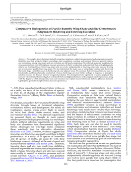 Spotlight Comparative Phylogenetics of Papilio