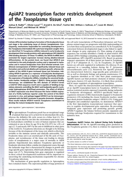 Apiap2 Transcription Factor Restricts Development of the Toxoplasma Tissue Cyst