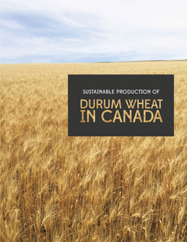 Durum Wheat in Canada
