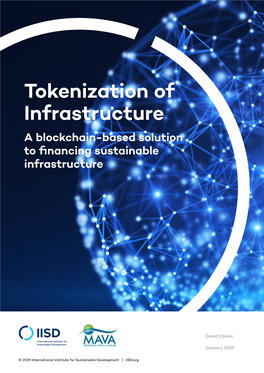 Tokenization of Infrastructure: a Blockchain-Based Solution to Financing Sustainable Infrastructure