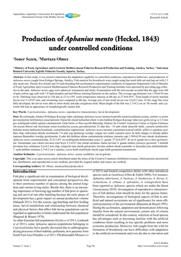 Production of Aphanius Mento (Heckel, 1843) Under Controlled Conditions