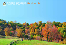 TREES of OHIO Field Guide DIVISION of WILDLIFE This Booklet Is Produced by the ODNR Division of Wildlife As a Free Publication