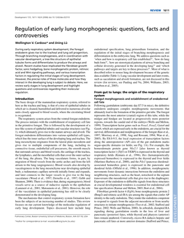Regulation of Early Lung Morphogenesis: Questions, Facts and Controversies