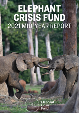 2021 Mid-Year Report