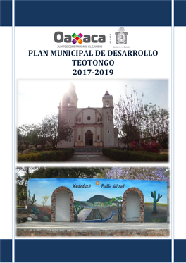 Plan Municipal De Desarrollo Teotongo 2017-2019