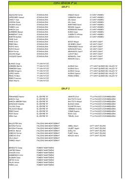 Grup 1 Grup 2 Copa Sènior 3ª G1