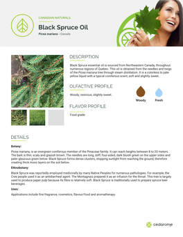 Black Spruce Oil Picea Mariana - Canada