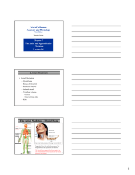 The Axial Skeleton – Hyoid Bone