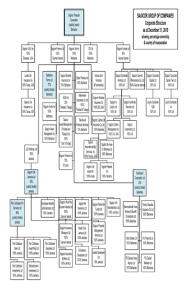 Visio-2010 December 31 Sagicor Corporate Chart.Vsd