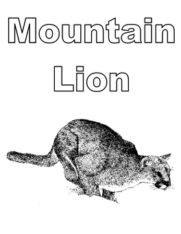 Wyoming 2004-05 Mountain Lion