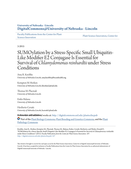 Sumoylation by a Stress-Specific Small Ubiquitin-Like Modifier E2