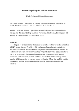 Nuclear Targeting of SV40 and Adenovirus